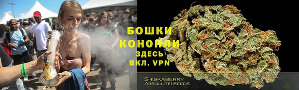 ПСИЛОЦИБИНОВЫЕ ГРИБЫ Наволоки