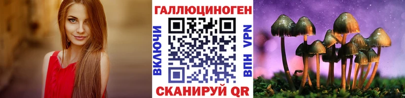 Купить  Кандалакша  Галлюциногенные грибы Magic Shrooms 